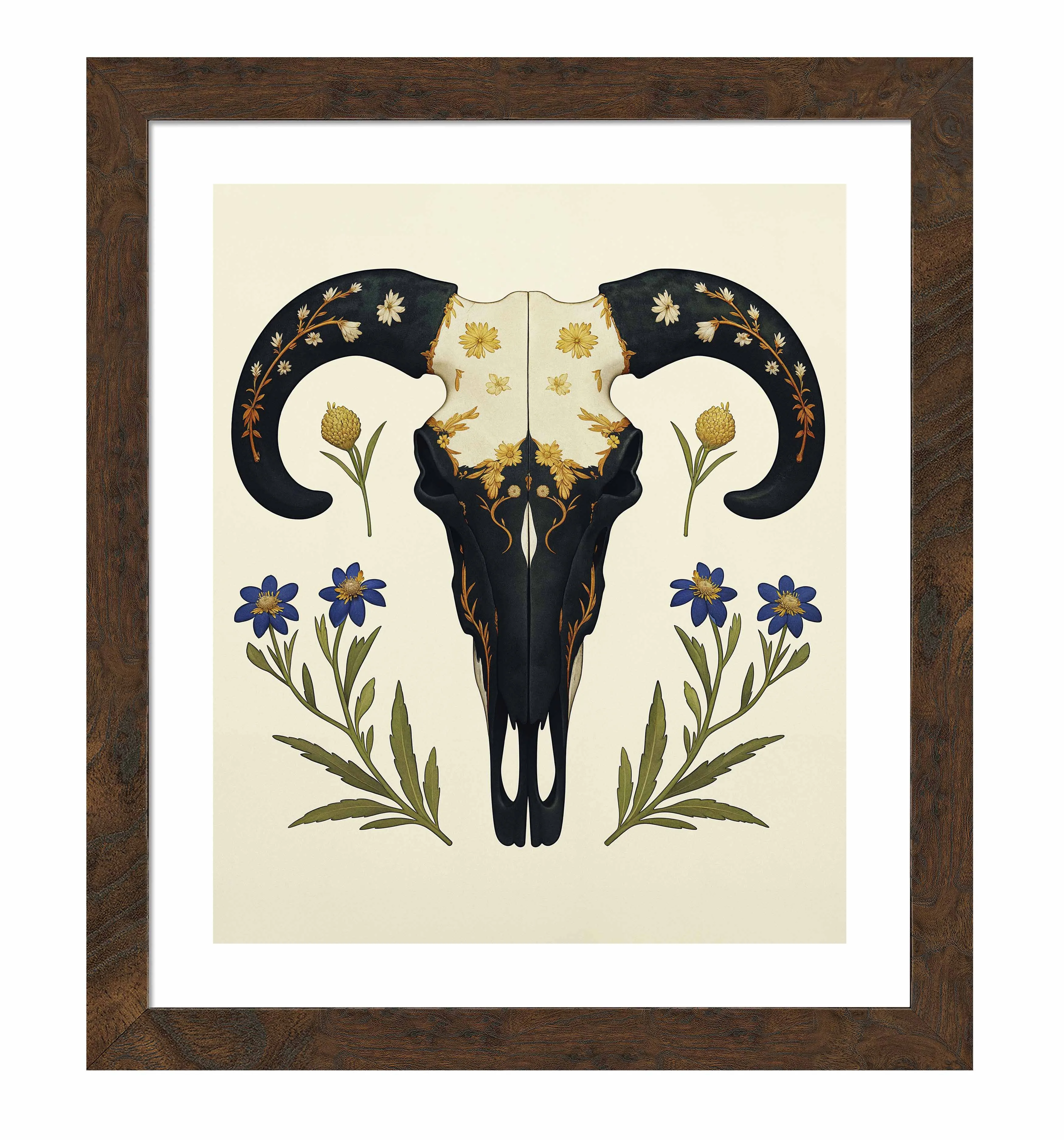 Alamo's Witness - Art Prints