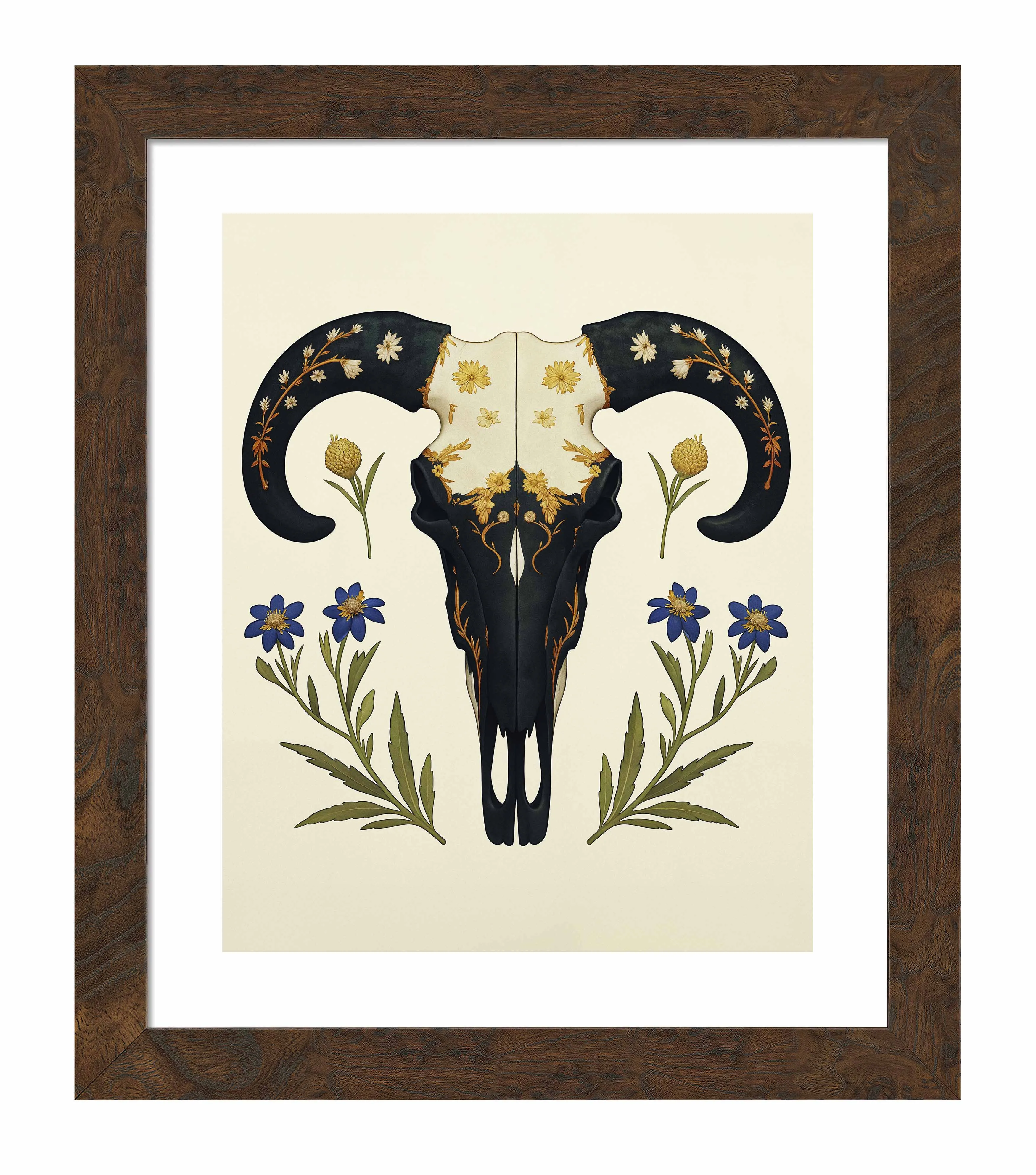 Alamo's Witness - Art Prints