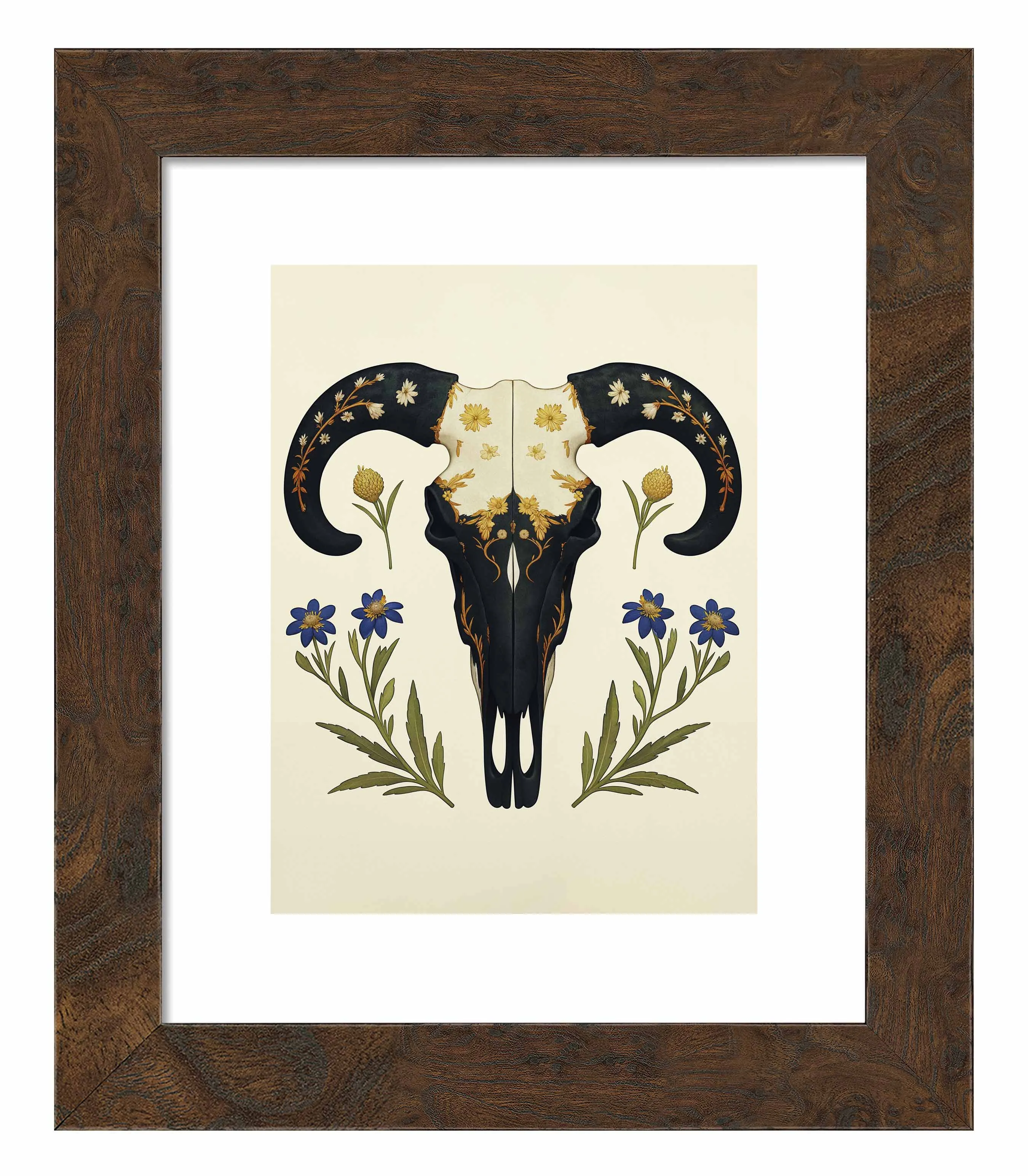Alamo's Witness - Art Prints