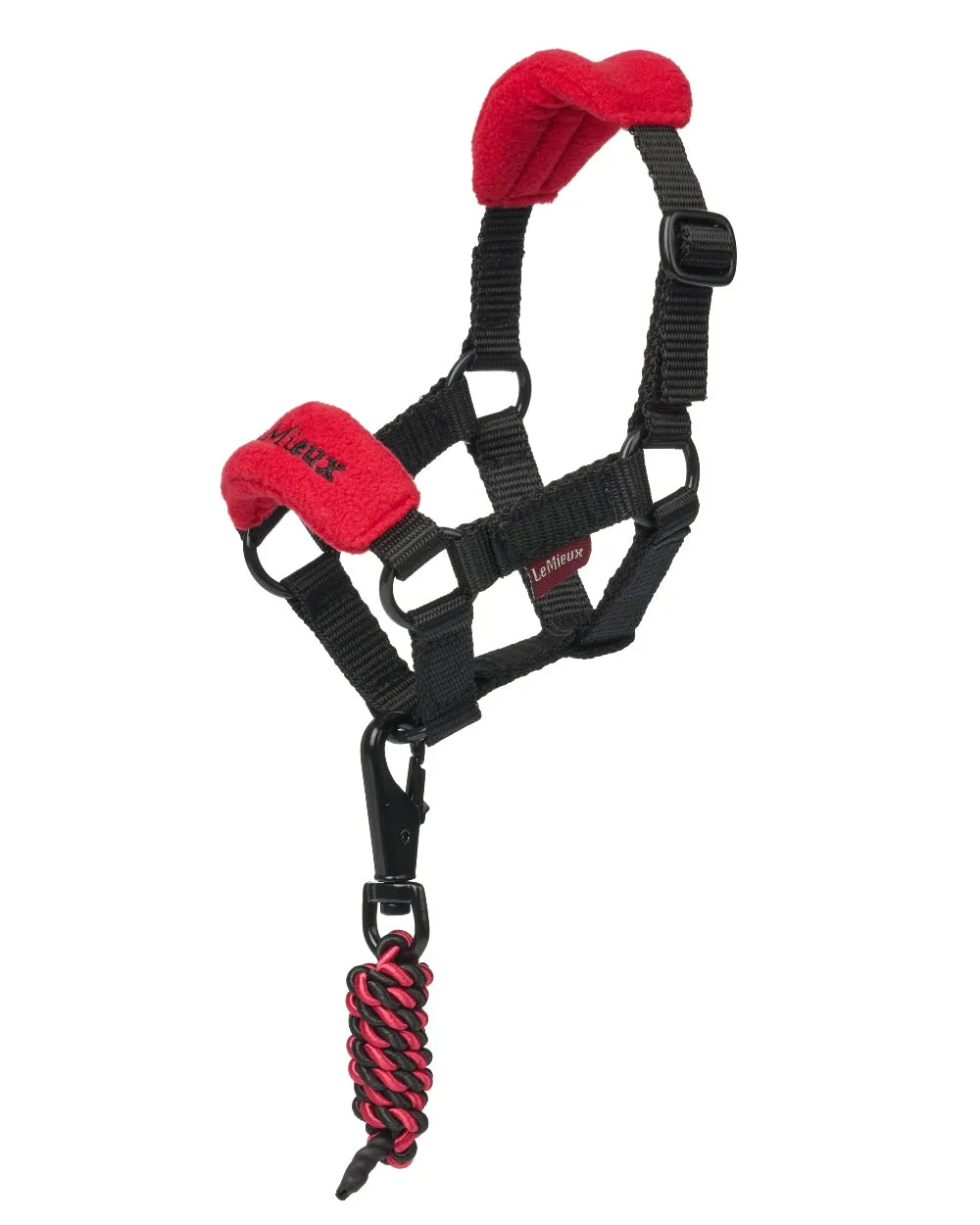 LeMieux Toy Pony Vogue Headcollar